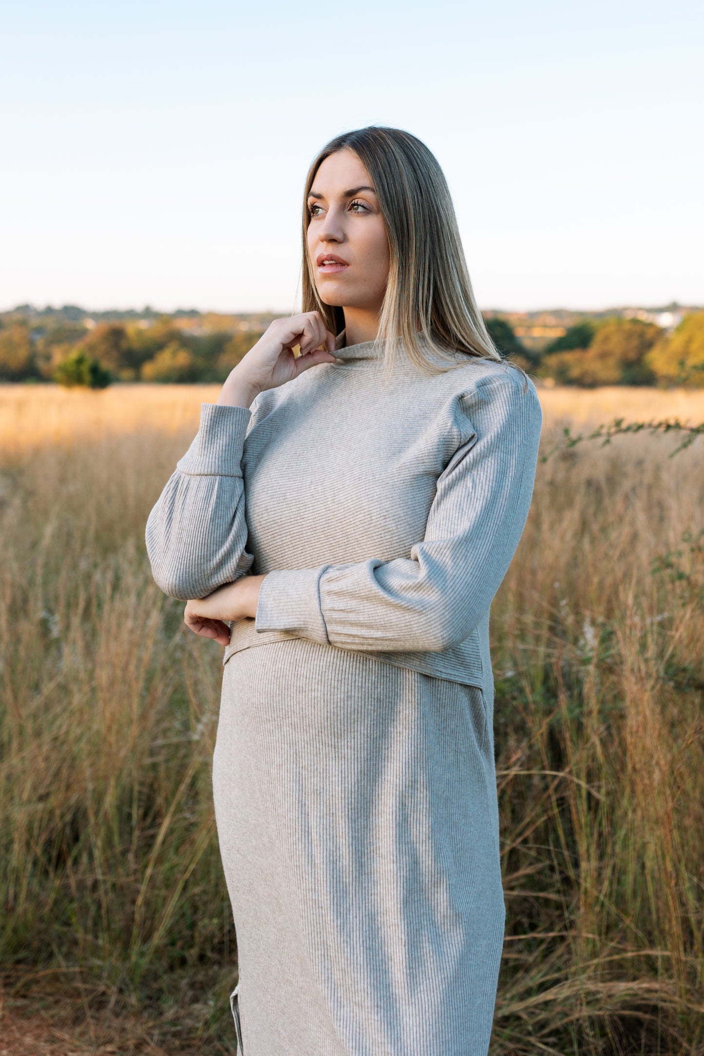 The Beth Poloneck Knit Dress - Oatmeal